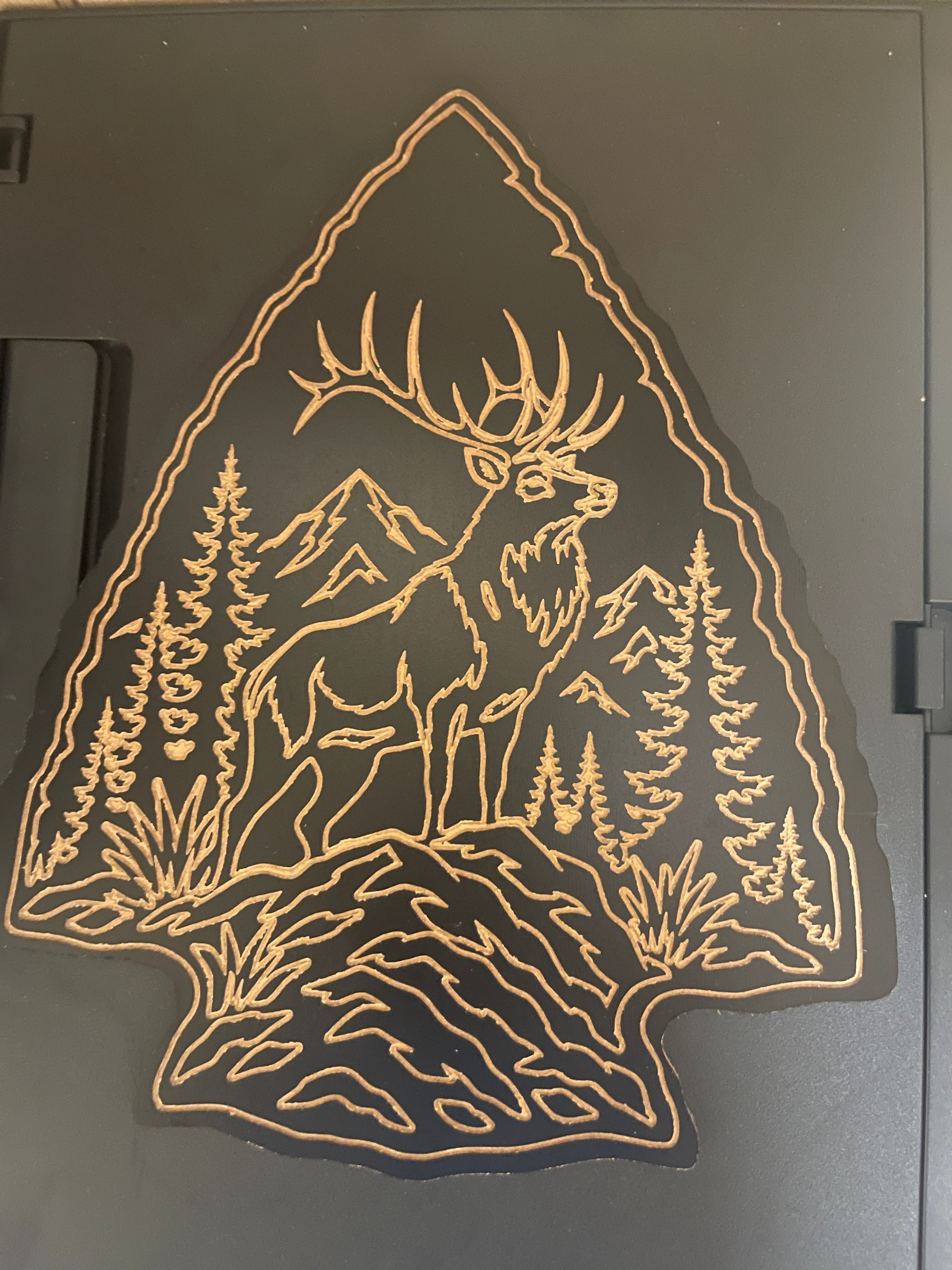 Elk in Arrowhead